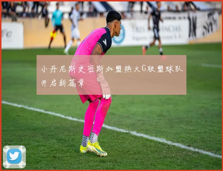 小丹尼斯史密斯加盟热火G联盟球队开启新篇章