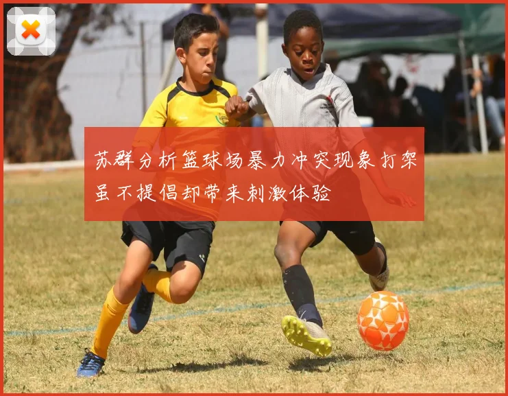 苏群分析篮球场暴力冲突现象打架虽不提倡却带来刺激体验